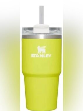 NWOT Stanley 20 oz. Quencher H2.0 FlowState Tumbler